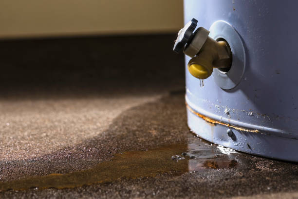 Best Residential water damage restoration  in Pelzer, SC