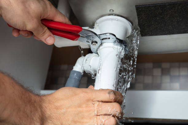 Best Water damage restoration insurance claims  in Pelzer, SC