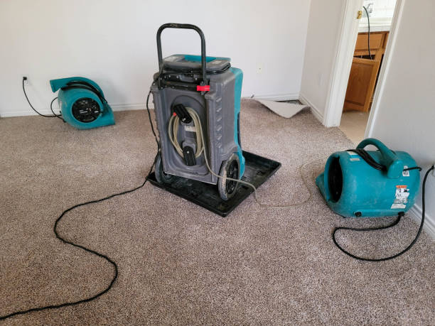 Best Water damage mitigation services  in Pelzer, SC