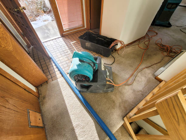 Best Water damage restoration services  in Pelzer, SC