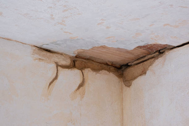 Best Ceiling water damage repair  in Pelzer, SC