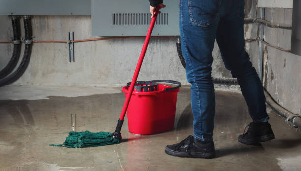 Best Local water damage restoration  in Pelzer, SC