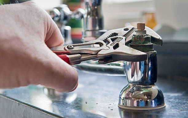 Best Professional water damage repair  in Pelzer, SC