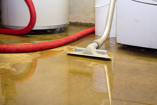 Best Water damage restoration near me  in Pelzer, SC