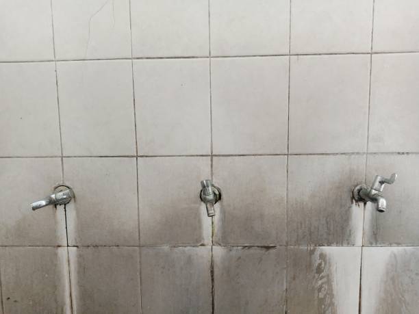 Best Residential water damage restoration  in Pelzer, SC