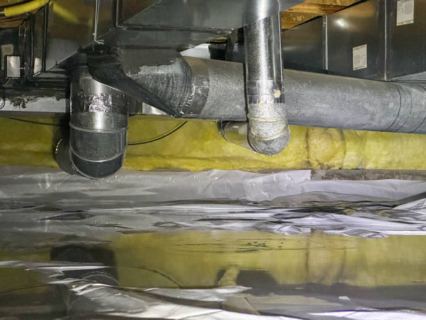 Best Carpet water damage restoration  in Pelzer, SC