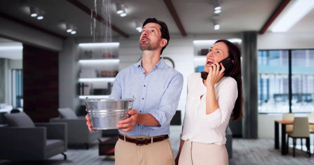 Best Water damage cleanup near me  in Pelzer, SC
