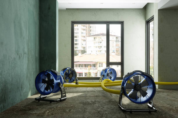 24/7 water damage repair in Pelzer, SC