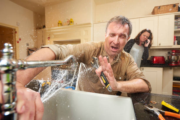 Best Water damage mitigation services  in Pelzer, SC